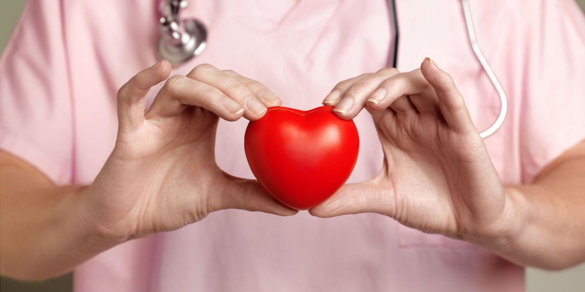 reishi heart health