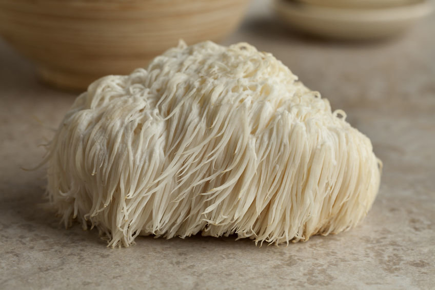 Lions Mane Benefits for Heart Health